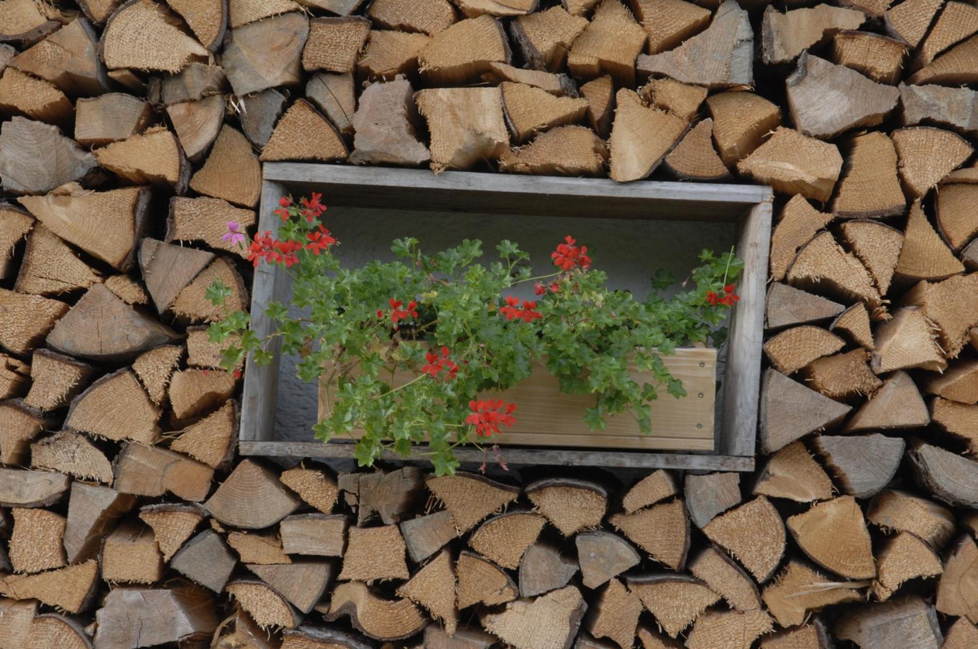 Gaestehaus Alte Bergmuehle Fischbachau Dış mekan fotoğraf